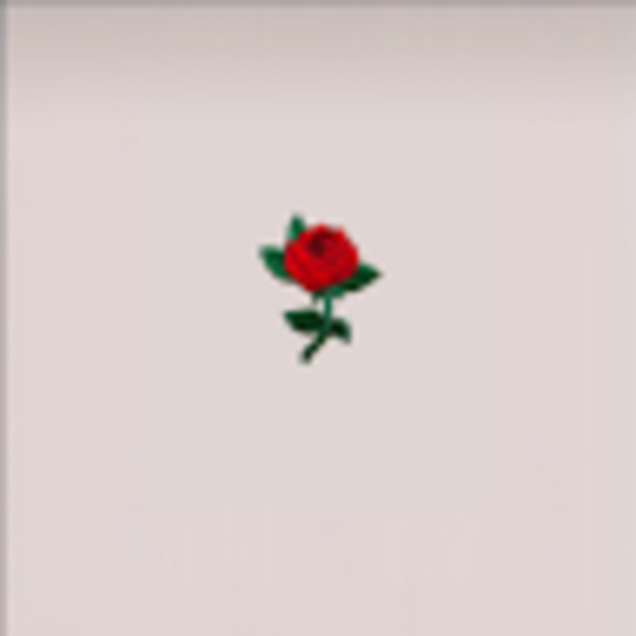 Meet your Posher, Norah - Picture 1 of 1